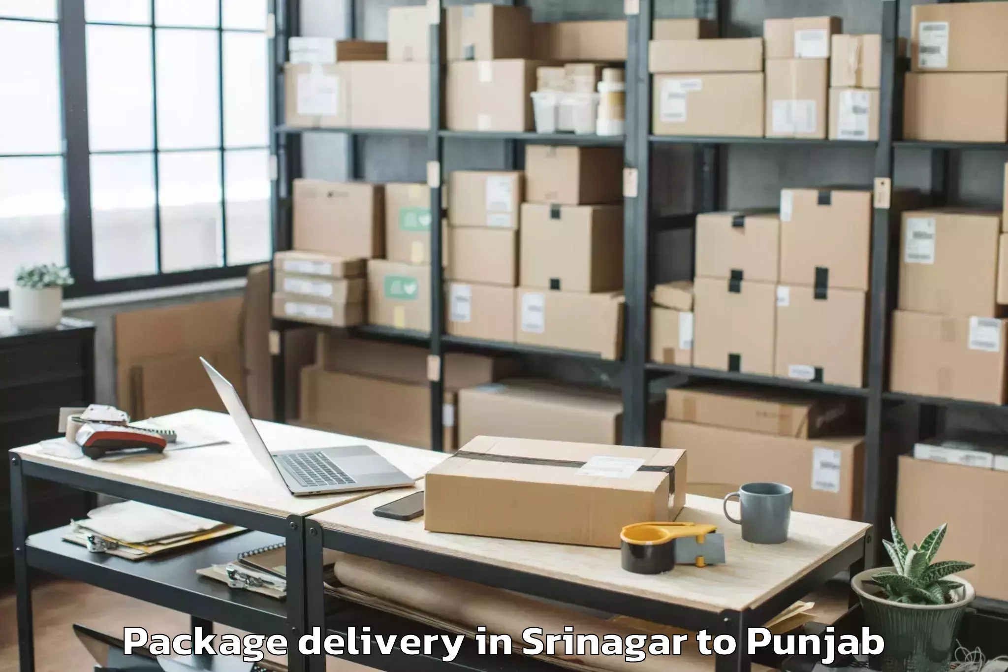 Leading Srinagar to Bhatinda Airport Bup Package Delivery Provider